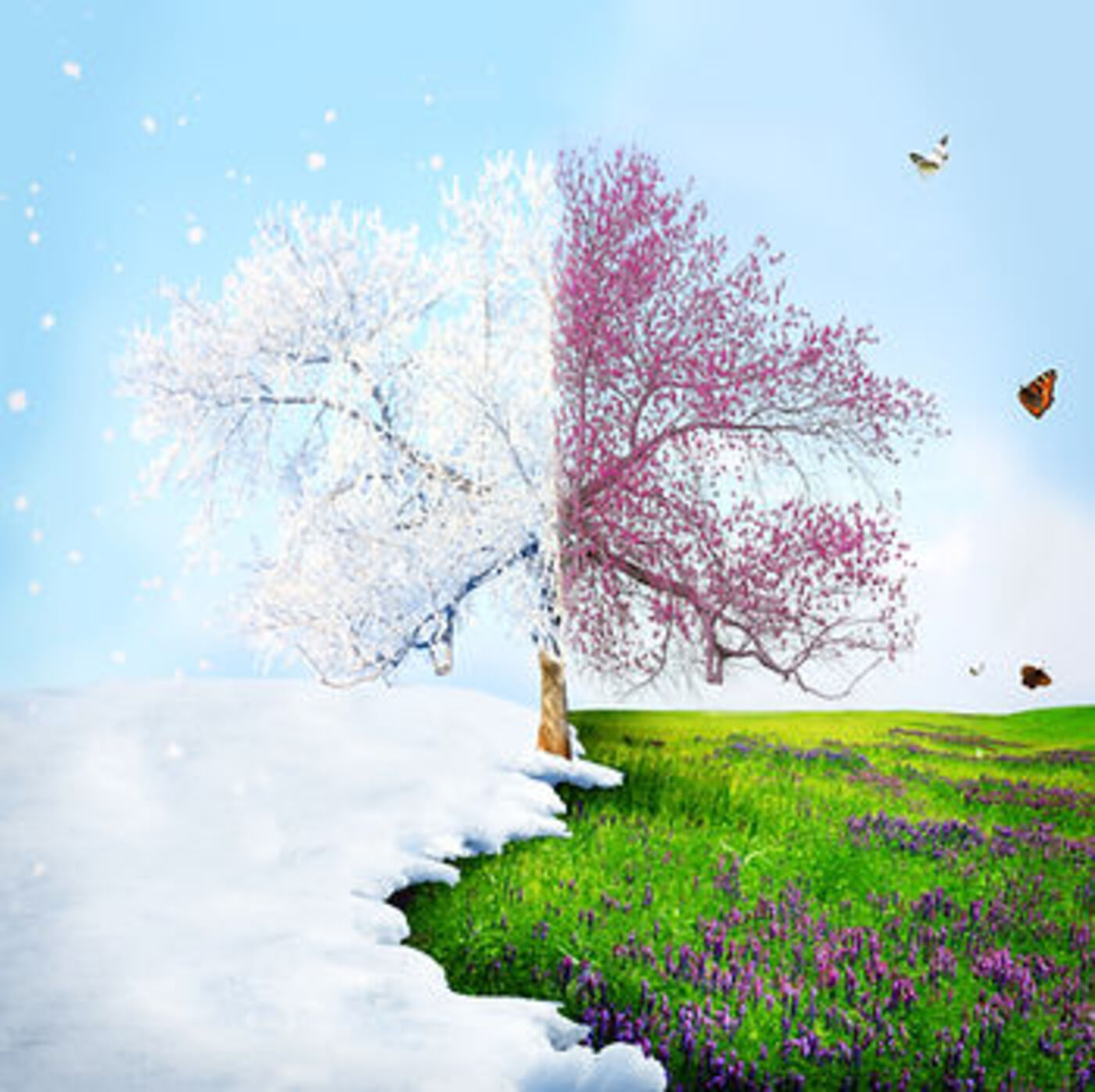 Spring into Confidence: Your Guide to Renewed Wellness and Beauty featured image